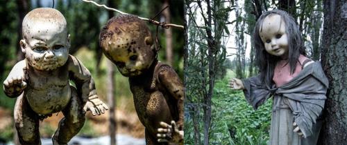Isla de las Munecas (Island of the Dolls), Mexico 5