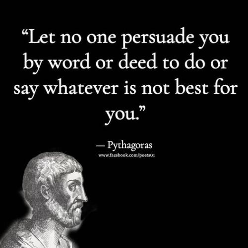 311627954_459368672928071_3109733677947837964_n