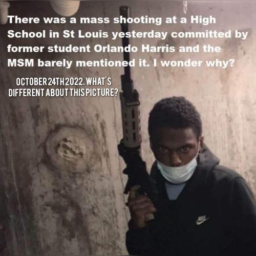 GridArt_20221031_110409542