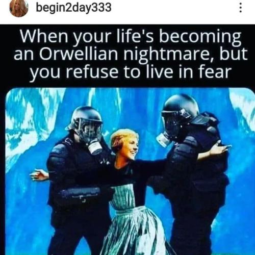 tumblr_96950a0e5a7a5f667b7ff9e0ce8f4da0_31f20ce2_640