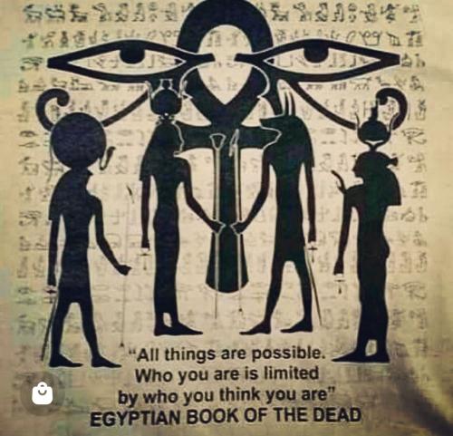 Screenshot_2022-10-26-13-26-45-63_1c337646f29875672b5a61192b9010f9