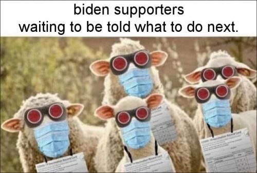 supporters29