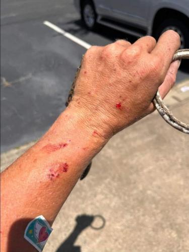 IMG_20221021_005525_256