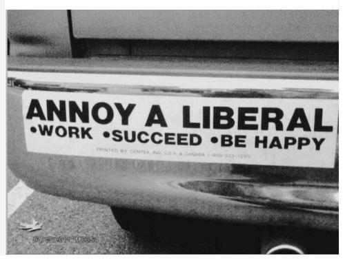 FB_IMG_1665946224422