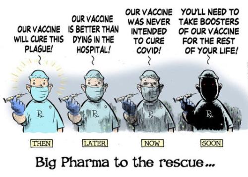 bigpharma88