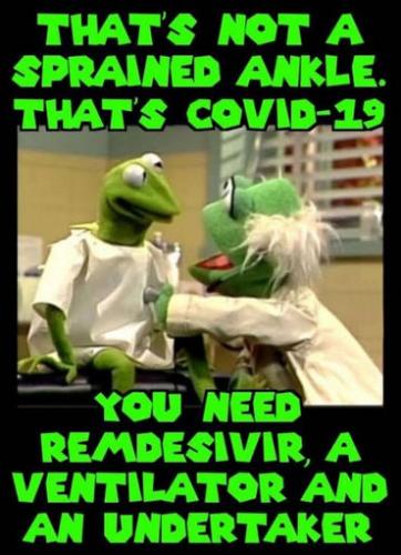 coronavirus1391