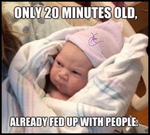 306092765_436690155279465_1712526980956049303_n