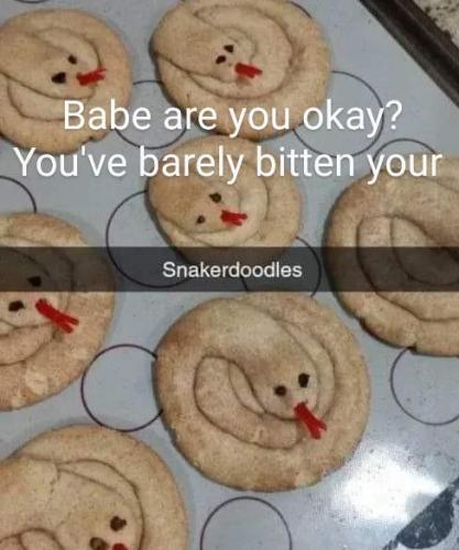 Snakerdoodles