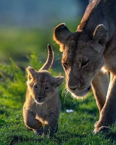 tumblr_3f06ddf20331ce2d066b17ae7c6e7847_cc4e47a4_540