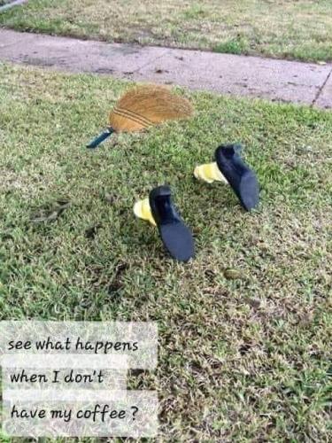 FB_IMG_1667150597805