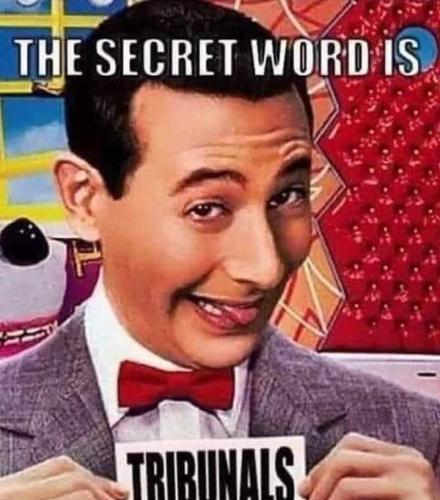 pee wee tribunals