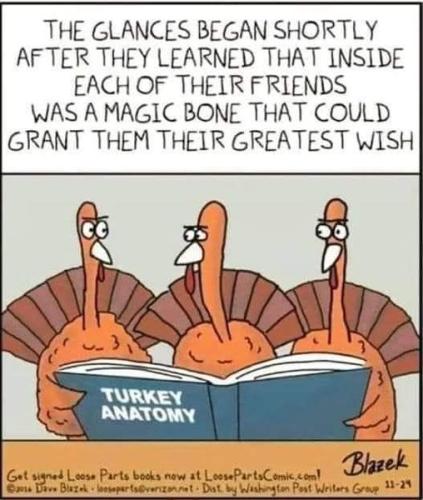 309575339_10227885318173728_7290079051771829543_n