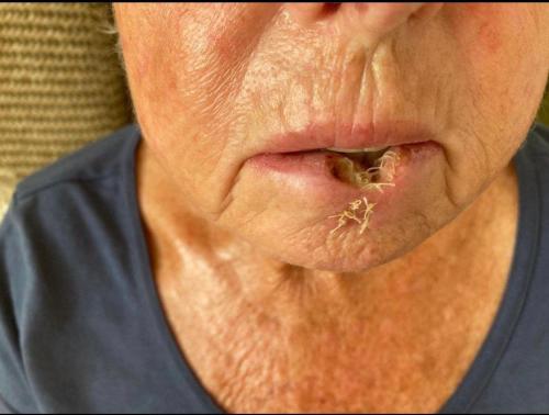 IMG_20221004_122416_106