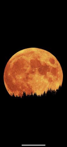 ,                                                                                                                                                                                                                       0   4g