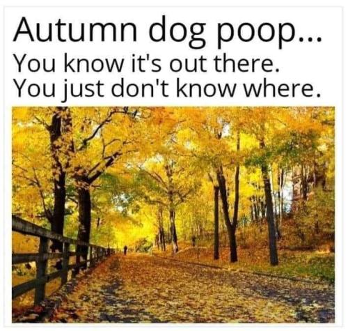 FB_IMG_1666987979793