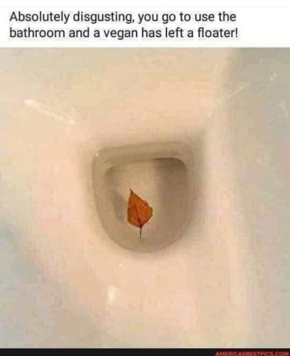 FB_IMG_1664995841516