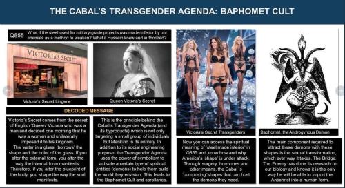 xephula_f3060bf2b3eec8abc66f7c5b74e5b6ce