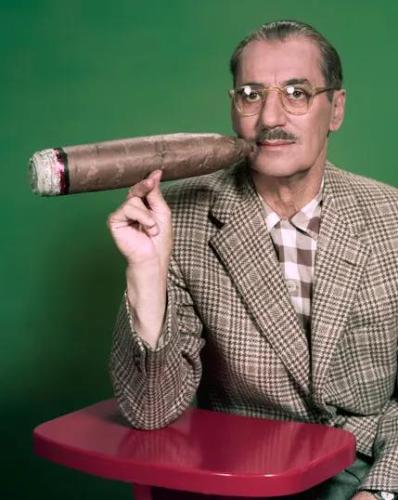 310256263_538816074915735_1523536230311854877_n