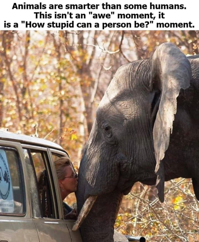 Stupid people moment
