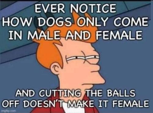 FB_IMG_1666728368921
