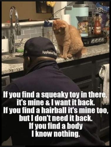 312999854_1809770806043176_9210069811204910999_n