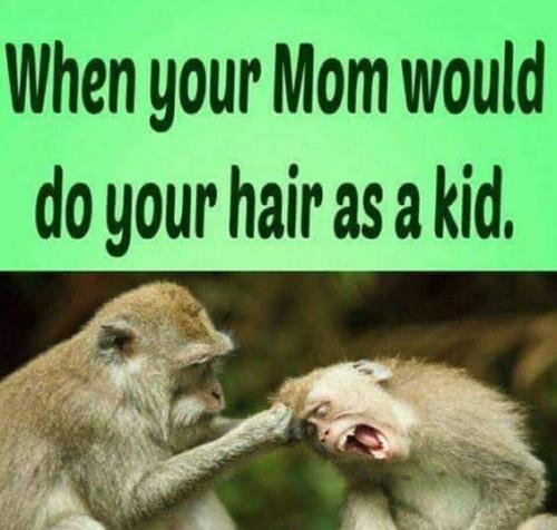 FB_IMG_1664640430405