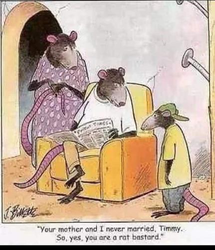 311123517_5916647151701366_1383507541034285843_n