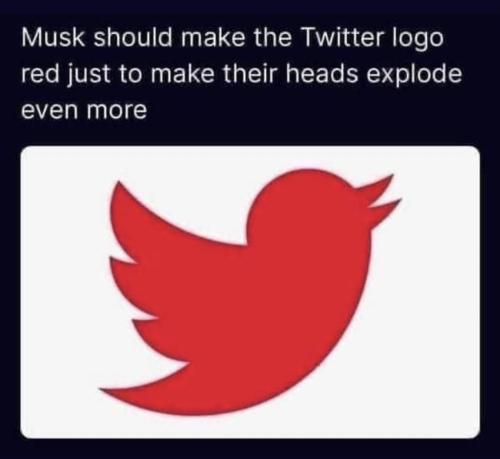 20221031_114923