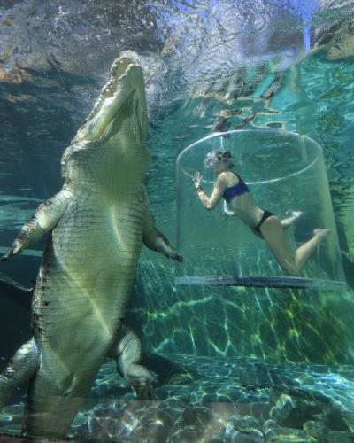 311517070_849039782928621_1452020105521361411_n