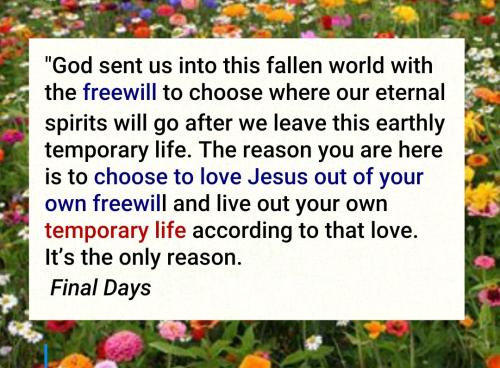 14:24:33 GMT-0400 (EDT)