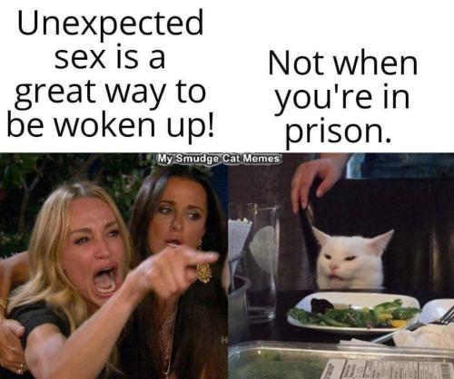 FB_IMG_1665598922680
