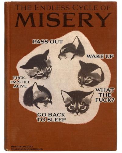 313436953_486341570187867_6297971233662128086_n