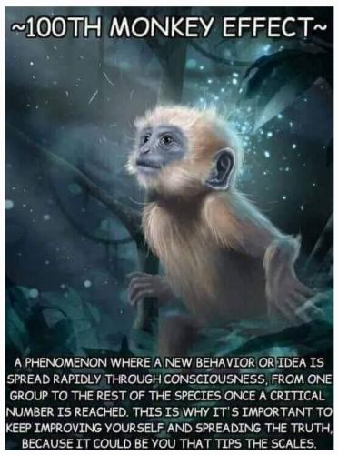 Screenshot_2022-10-14-03-09-28-01_40deb401b9ffe8e1df2f1cc5ba480b12