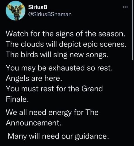 ,                                                                                                                                                                                                                          0 2