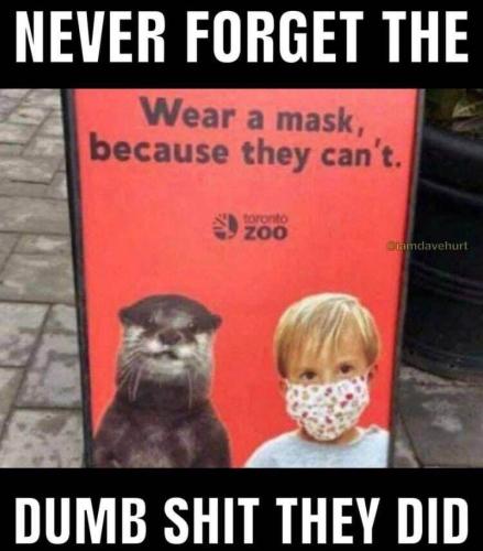 e1a73e93-83b6-47a2-8311-78c693416da8