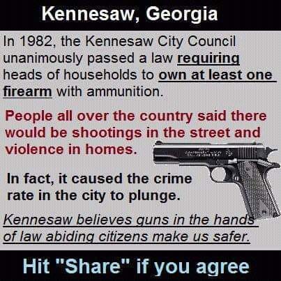 Gun Laws 1