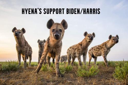 FB_IMG_1665751850225