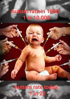 img+-+2022-07-27T131829.454