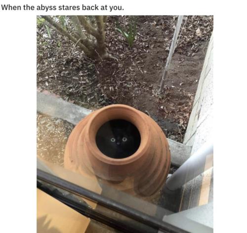 tumblr_27ce46ffc6fdb8bf732c30e99a9ce55c_6970736b_640