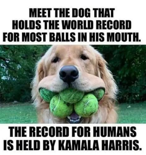 Screenshot_20221023-132043