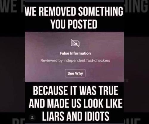 273639338_4995540987132667_7471474148079474462_n