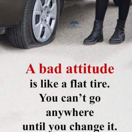 FB_IMG_1666981111773