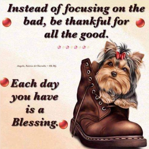 FB_IMG_1665669657867