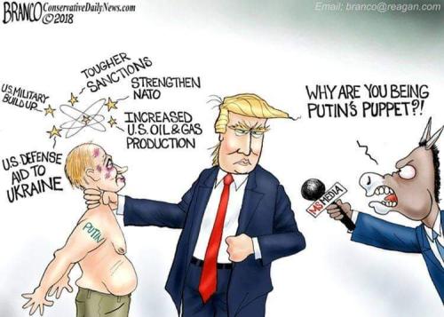 FB_IMG_1667228924515