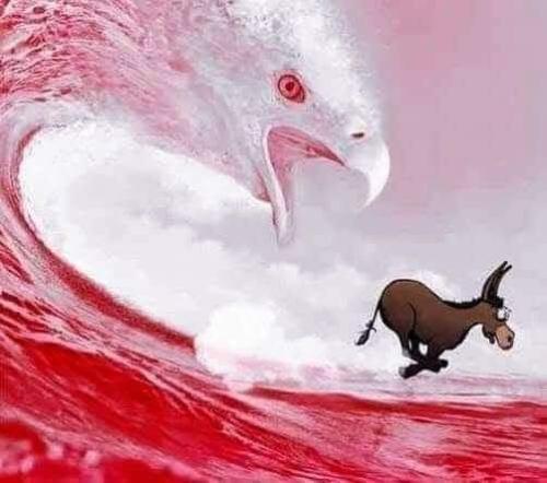 FB_IMG_1666539065638