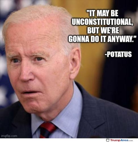 xephula_f535e43ceb24c46c9a5b62ee3c7377cc