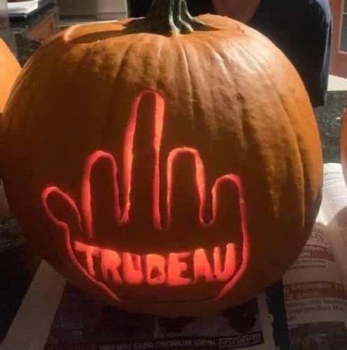 918C1501-A6B7-4ED4-A7DF-D4CD76B7B1FE-59313-00001DA50D7FCE90