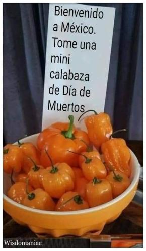 4dad20ea-2991-4bd0-ac07-b62e12686ecd