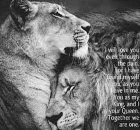 Screenshot_20221017-111401_Google