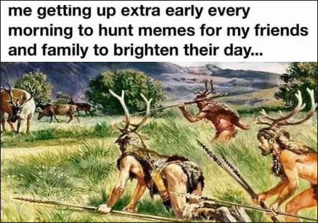 me getting up early to hunt for memes